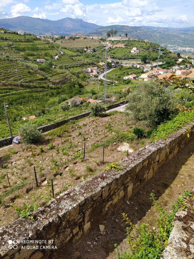 Quinta De Penelas Lamego Zewnętrze zdjęcie