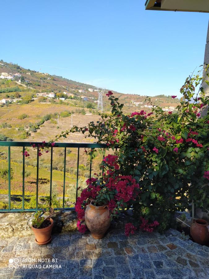 Quinta De Penelas Lamego Zewnętrze zdjęcie